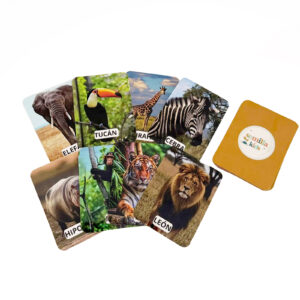 MEMOTEST - Animales de la selva